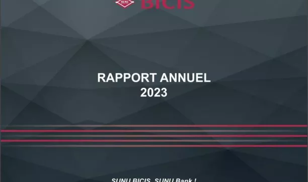 Rapport annuel 2023 BICIS